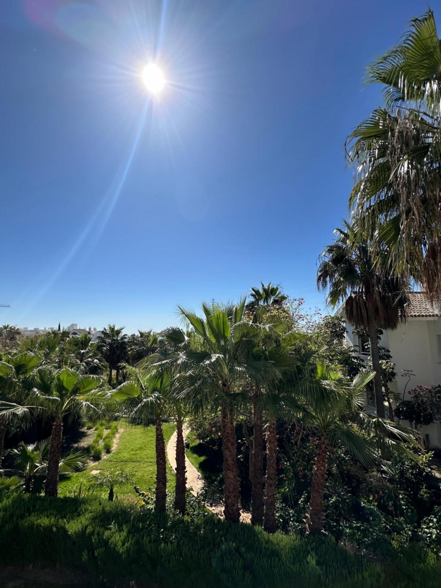 Amazing In Lagoon Apartment Estepona